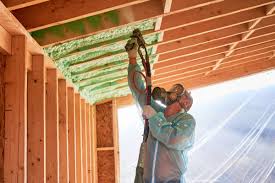 Best Eco-Friendly or Green Insulation Solutions  in Haltom City, TX